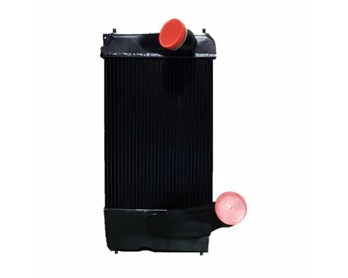 Charge Air Cooler (ATAAC) PETERBILT 387 LKQ Plunks Truck Parts and Equipment - Jackson