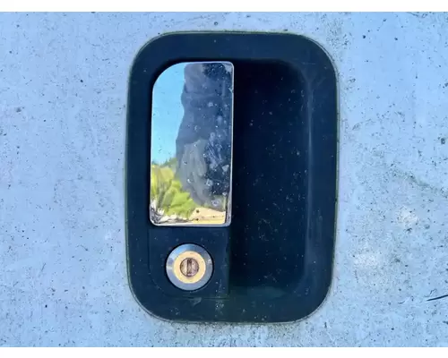 Peterbilt 387 Door Assembly, Front
