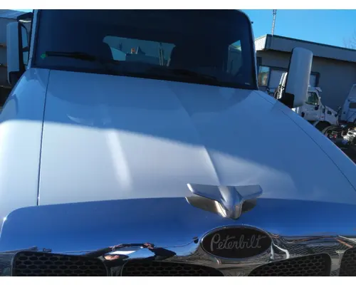 Hood PETERBILT 579 2012-2022 LKQ Wholesale Truck Parts