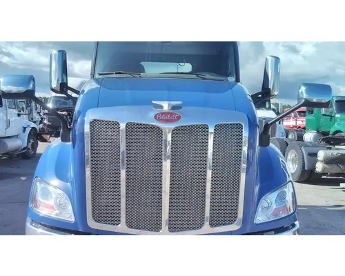 Hood PETERBILT 579 2012-2022 LKQ Heavy Truck - Goodys