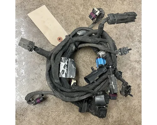Body Wiring Harness PETERBILT 579 High Mountain Horsepower