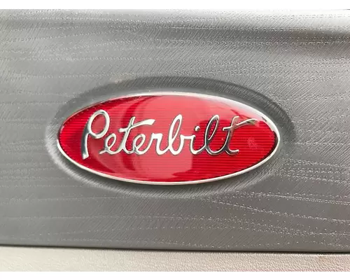 Peterbilt 579 Door Assembly, Front