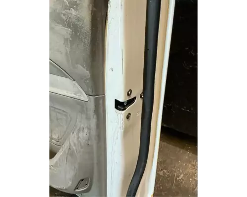 Peterbilt 579 Door Assembly, Front