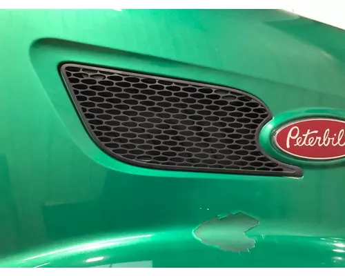 Peterbilt 579 Hood