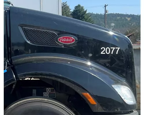 Hood PETERBILT 579 High Mountain Horsepower
