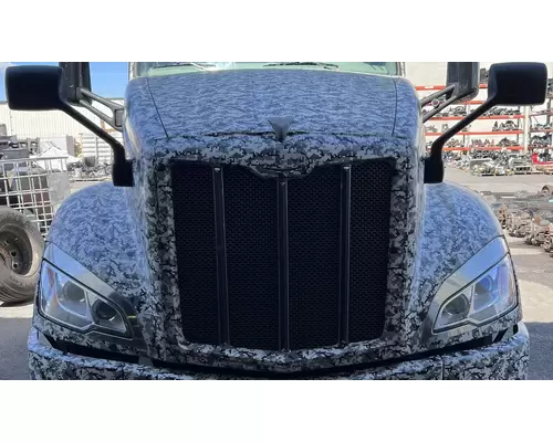 Hood PETERBILT 579 High Mountain Horsepower
