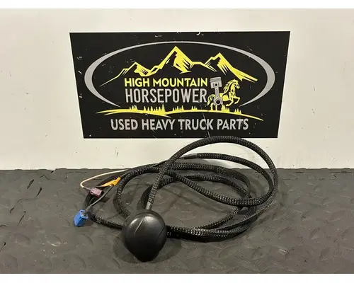 Radio PETERBILT 579 High Mountain Horsepower