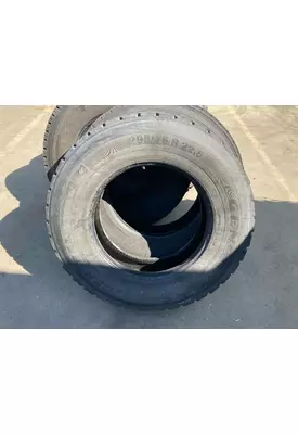 Peterbilt 579 Tires