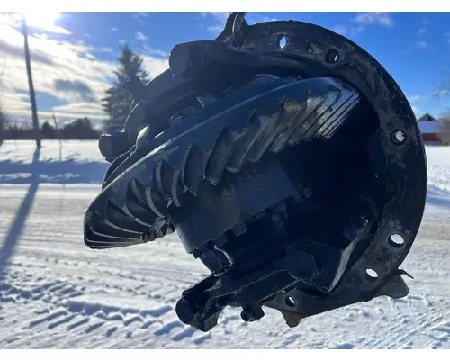 ROCKWELL RT4145 Differential Assembly (Rear, Rear)