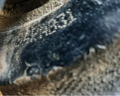 SHEPPARD HD94-PAB31 POWER STEERING GEAR