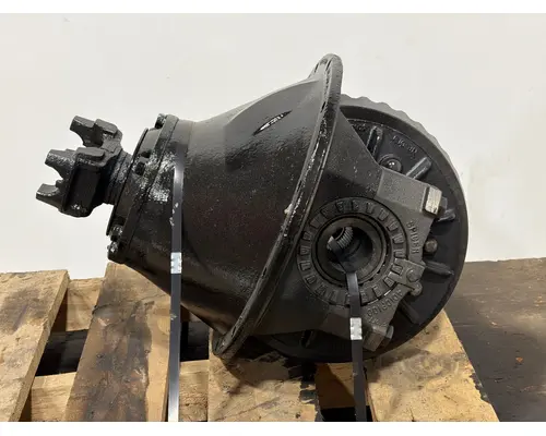 SPICER N175 Differential Assembly (Rear, Rear)