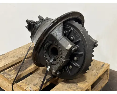 SPICER N175 Differential Assembly (Rear, Rear)