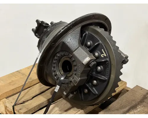 SPICER N175 Differential Assembly (Rear, Rear)