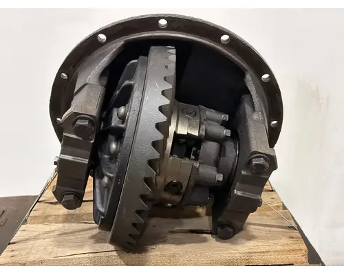 SPICER N175 Differential Assembly (Rear, Rear)