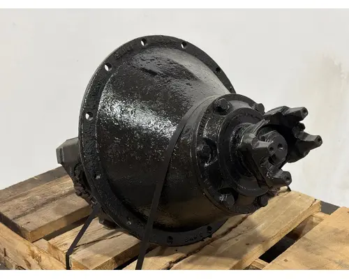 SPICER N175 Differential Assembly (Rear, Rear)