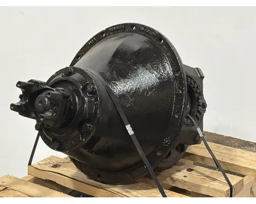 SPICER N175 Differential Assembly (Rear, Rear)