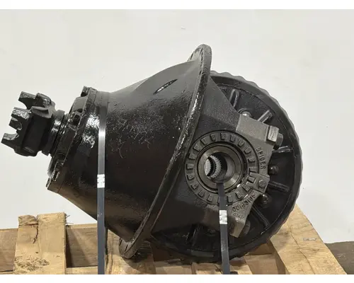 SPICER N175 Differential Assembly (Rear, Rear)