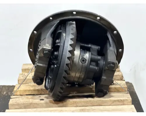 SPICER N175 Differential Assembly (Rear, Rear)