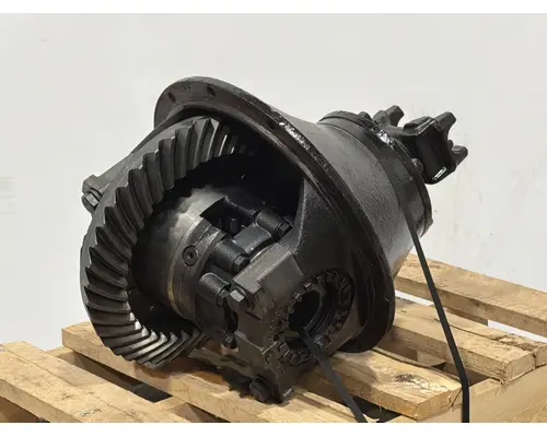 SPICER N175 Differential Assembly (Rear, Rear)