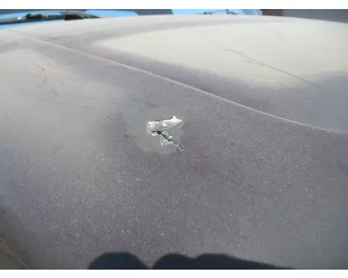 STERLING A9500 Hood