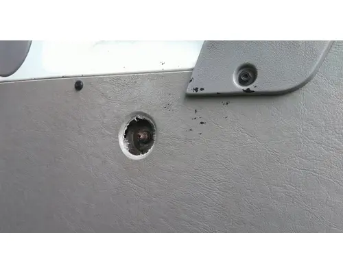 STERLING ACTERRA 2001-2010 DOOR ASSEMBLY, FRONT