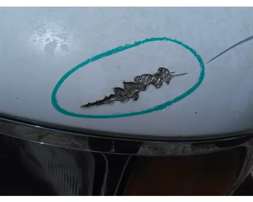 STERLING ACTERRA 5500 2001-2010 HOOD
