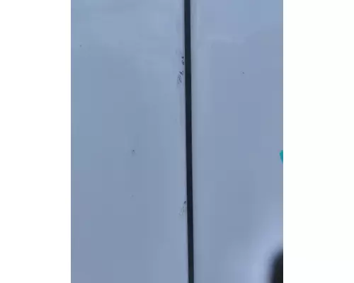 STERLING ACTERRA 5500 DOOR ASSEMBLY, FRONT