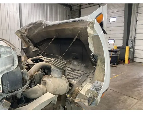 STERLING ACTERRA Hood