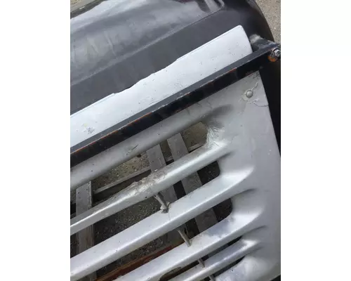 STERLING L9500 Hood