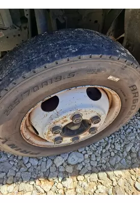 STUD/BUDD PILOTED - STEE 16 X 6.00 WHEEL
