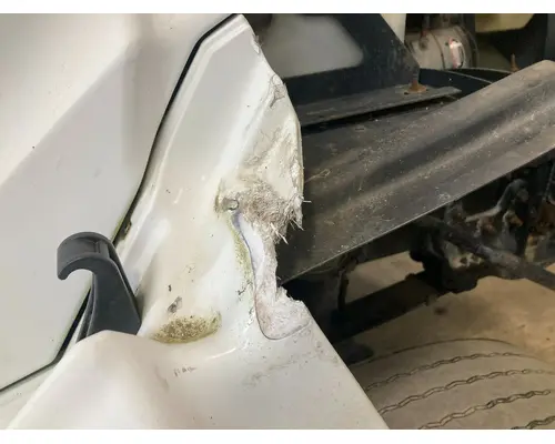 Sterling A9513 Fender