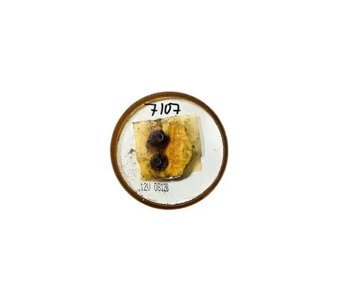 UNIVERSAL  Side Marker Lamp, Rear