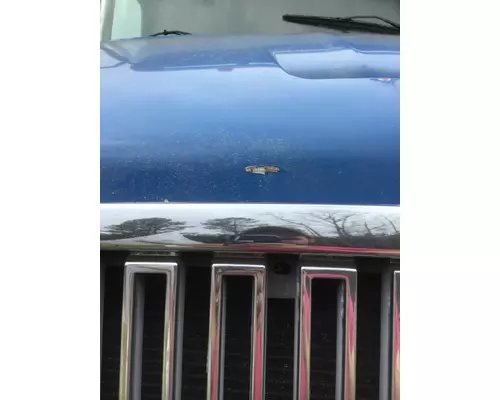 VOLVO VNL 1998-2003 HOOD