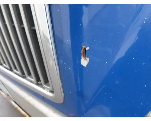 VOLVO VNL 1998-2003 HOOD