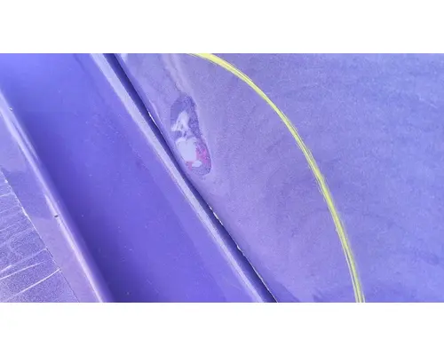 VOLVO VNL 1999-2025 DOOR ASSEMBLY, FRONT