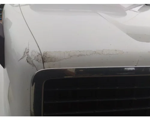 VOLVO VNL HOOD