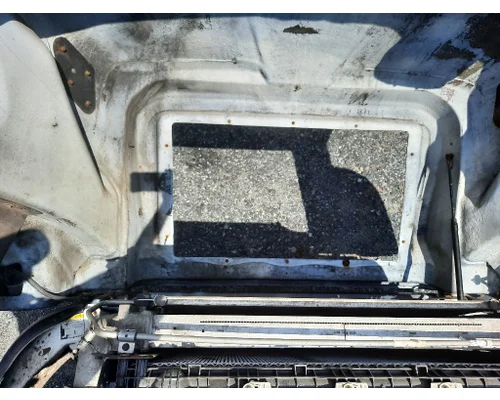 VOLVO VNL HOOD