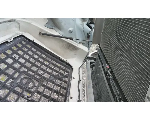 VOLVO VNL HOOD
