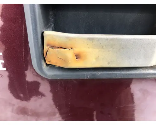 Volvo VNL Door Assembly, Front