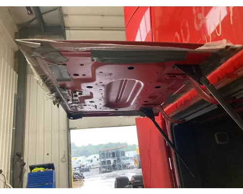 Volvo VNL Sleeper Door