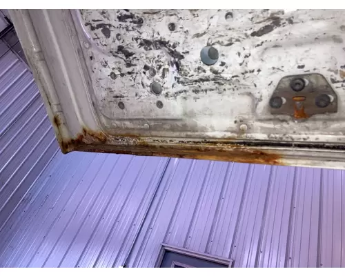 Volvo VNL Sleeper Door