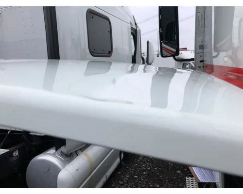 Volvo VNL Sleeper Door