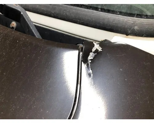 Volvo VNM Hood