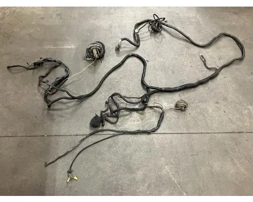 WESTERN STAR TRUCKS 4900 EX Hood