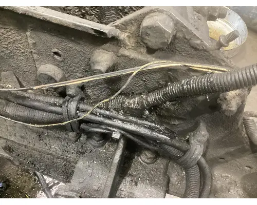 WESTERN STAR TRUCKS 4900 EX Hood