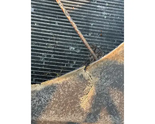 WESTERN STAR TRUCKS 4900 Radiator