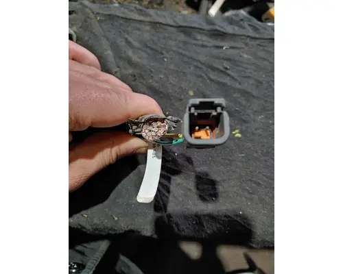 WESTERN STAR TR 4800 ECM (Brake & ABS)