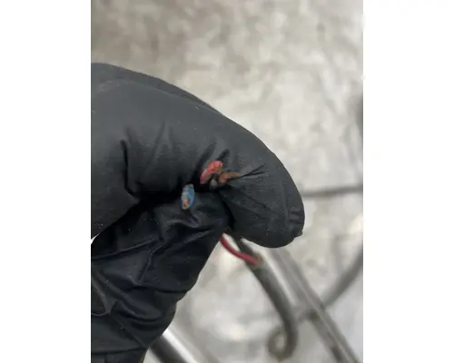 WESTERN STAR 4700 Mirror (Side View)