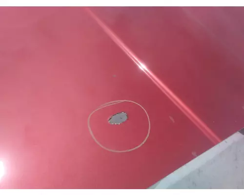 WESTERN STAR 4900EX 1997-2025 HOOD