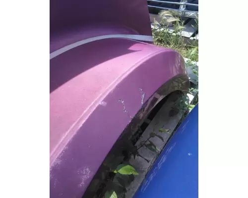 WESTERN STAR 4900EX 1997-2025 HOOD